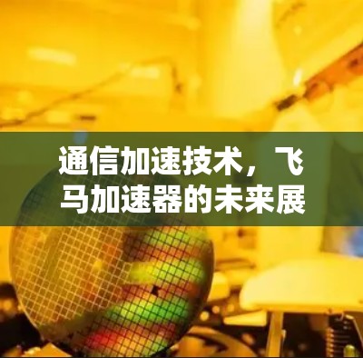 通信加速技术,飞马加速器的未来展望