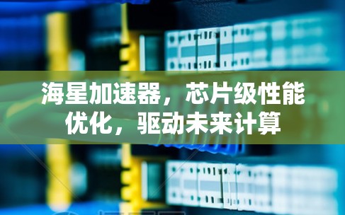 海星加速器,芯片级性能优化,驱动未来计算