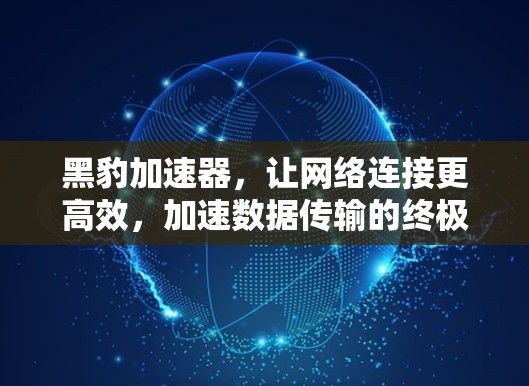 黑豹加速器，让网络连接更高效，加速数据传输的终极突破