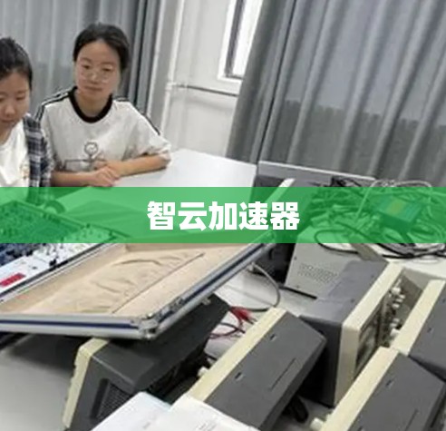 智云加速器 智云加速器