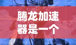 腾龙加速器是一个功能强大的加速工具，旨在提升游戏和视频的流畅度。它通过多种方法加速游戏，包括使用加速软件、调整设置、利用网络加速等。以下是关于腾龙加速器的详细信息