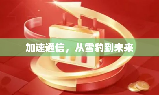 加速通信,从雪豹到未来 加速通信,从雪豹到未来