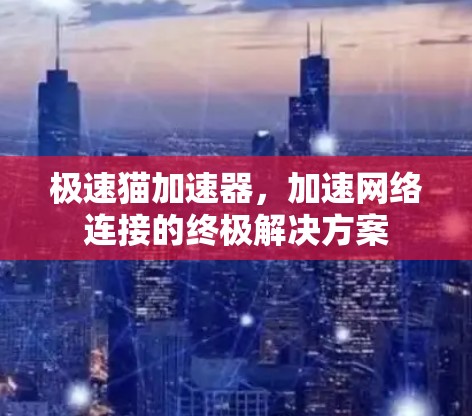 极速猫加速器,加速网络连接的终极解决方案