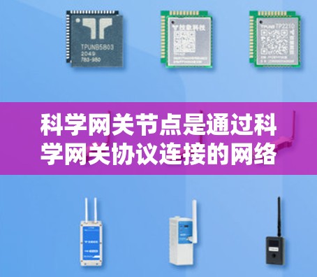 科学网关节点是通过科学网关协议连接的网络节点,主要负责数据包的处理和传输。以下是对科学网关节点性能的全面分析和提升方法的总结