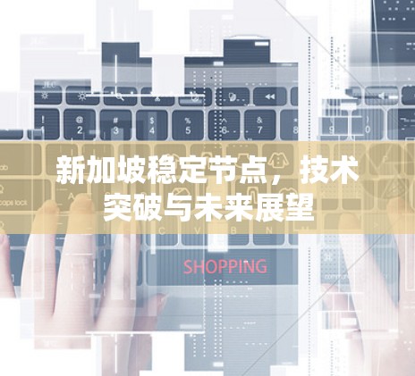 新加坡稳定节点，技术突破与未来展望