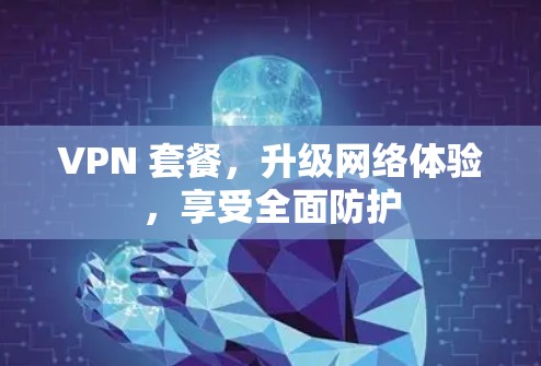 VPN 套餐,升级网络体验,享受全面防护 VPN 套餐,升级网络体验,享受全面防护