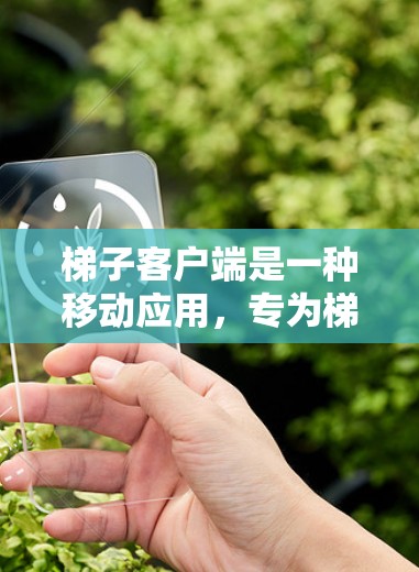梯子客户端是一种移动应用,专为梯子相关服务设计,提供移动设备上的操作和信息查询功能。以下是其主要特点和功能