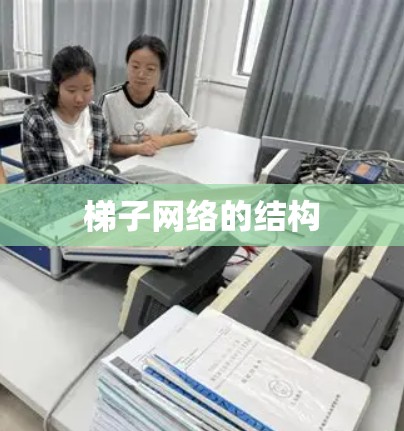 梯子网络的结构
