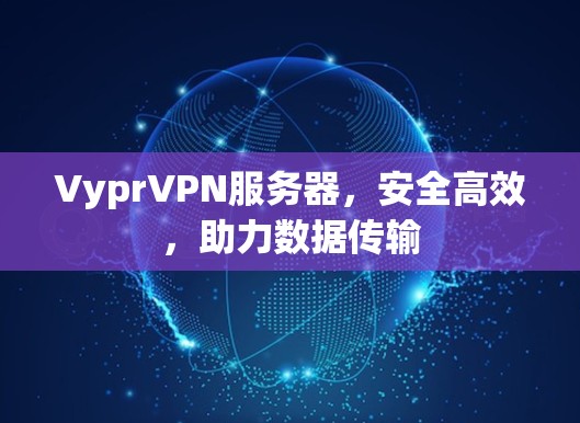 VyprVPN服务器，安全高效，助力数据传输