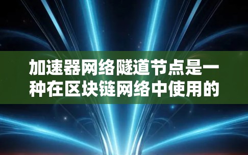 加速器网络隧道节点是一种在区块链网络中使用的节点类型，它在处理交易时能够更快地执行智能合约，从而增强网络的效率和安全性。以下是关于加速器网络隧道节点的详细说明