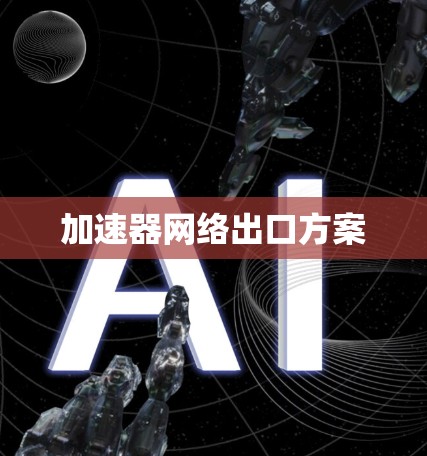 加速器网络出口方案