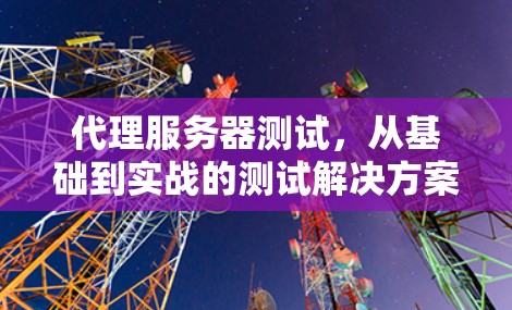 代理服务器测试，从基础到实战的测试解决方案