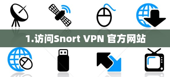 1.访问Snort VPN 官方网站
