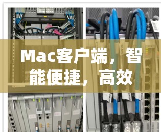 Mac客户端，智能便捷，高效安全