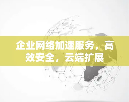 企业网络加速服务，高效安全，云端扩展