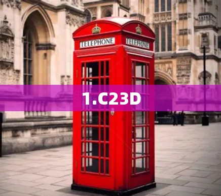 1.C23D