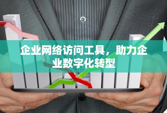 企业网络访问工具，助力企业数字化转型