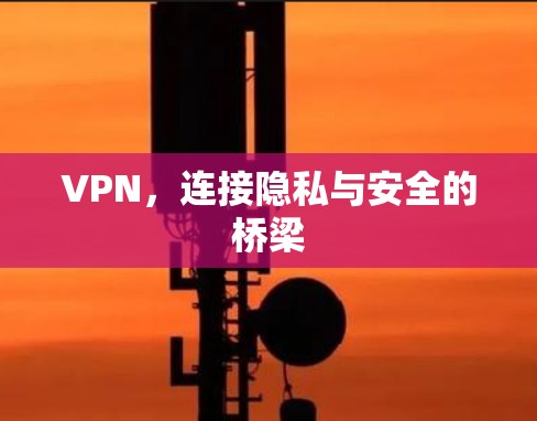 VPN，连接隐私与安全的桥梁