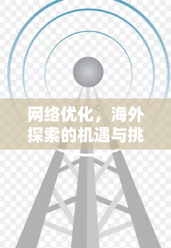 网络优化，海外探索的机遇与挑战