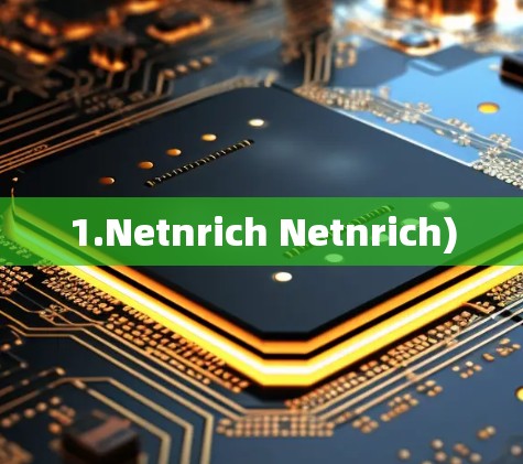 1.Netnrich Netnrich)