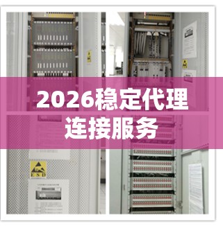 2026稳定代理连接服务