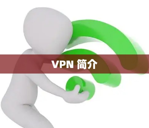 VPN 简介