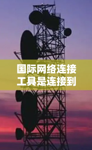 国际网络连接工具是连接到国际互联网的工具，帮助我们在本地设备上运行国际化的软件，如Windows、Mac、Linux等。这些工具包括国际网关如T1、T3、T5，用于配置和连接。以下是详细的步骤和信息