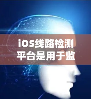 iOS线路检测平台是用于监控iOS系统网络接口和内部网络的数据流量、设备状态和端到端协议的功能。以下是详细的步骤和信息