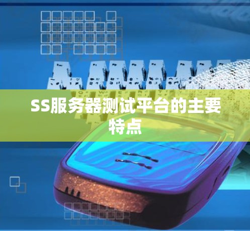 SS服务器测试平台的主要特点
