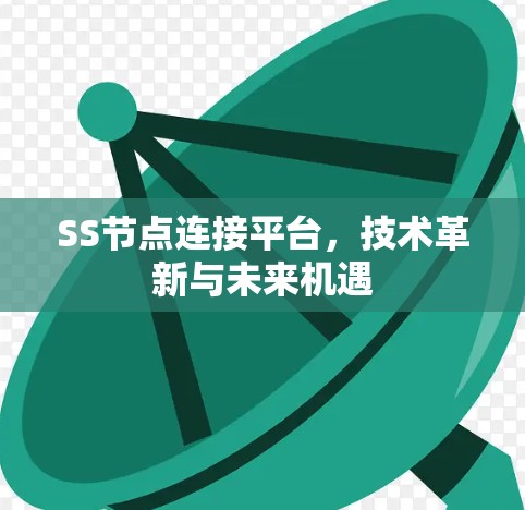 SS节点连接平台，技术革新与未来机遇