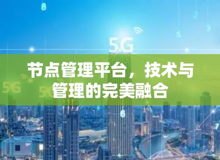 节点管理平台，技术与管理的完美融合