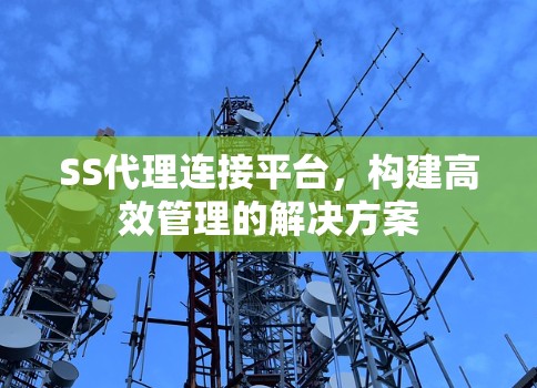 SS代理连接平台，构建高效管理的解决方案