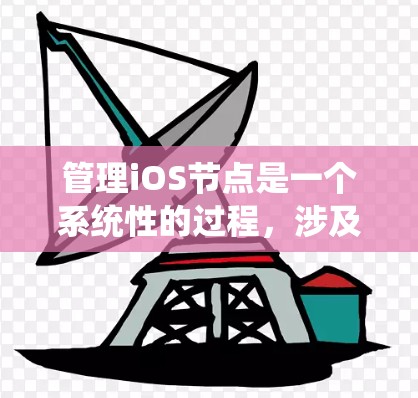 管理iOS节点是一个系统性的过程，涉及多个步骤和功能。以下是一个有条理的总结，帮助您更好地理解和操作节点管理工具