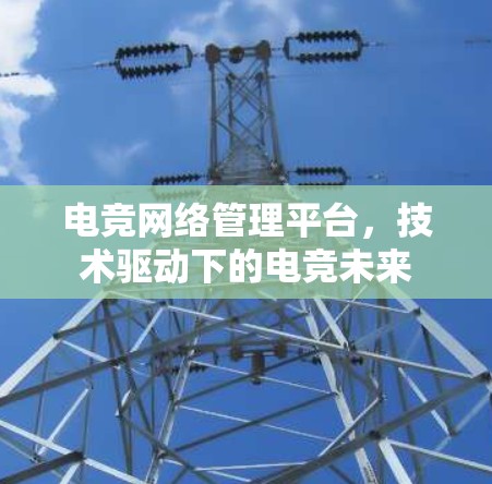 电竞网络管理平台,技术驱动下的电竞未来 电竞网络管理平台,技术驱动下的电竞未来