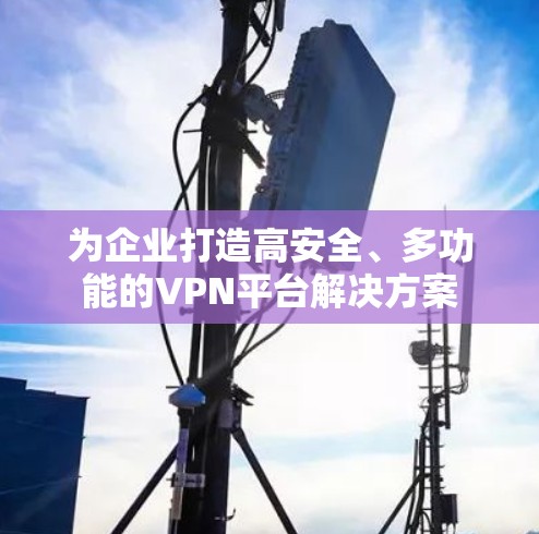 为企业打造高安全、多功能的VPN平台解决方案