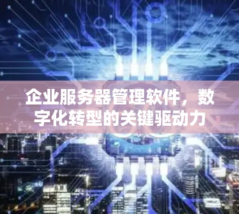 企业服务器管理软件，数字化转型的关键驱动力