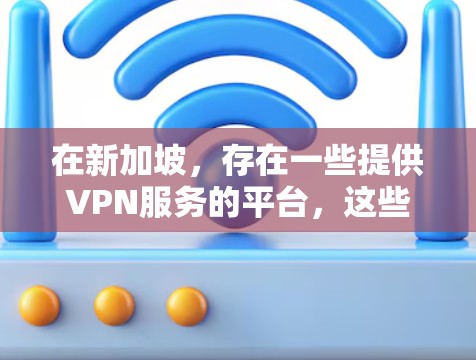 在新加坡，存在一些提供VPN服务的平台，这些平台通常遵循新加坡的网络法律和法规。以下是一些新加坡VPN服务平台的建议