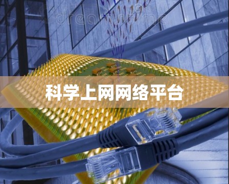 科学上网网络平台