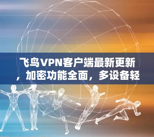 飞鸟VPN客户端最新更新，加密功能全面，多设备轻松使用，隐私保护升级版