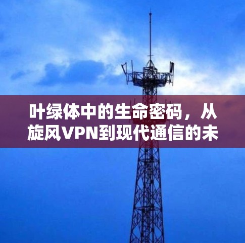 叶绿体中的生命密码，从旋风VPN到现代通信的未来