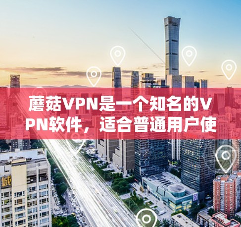 蘑菇VPN是一个知名的VPN软件,适合普通用户使用。它提供多种VPN服务,包括流媒体、在线游戏、视频会议等。蘑菇VPN的用户数量庞大,而且提供多种版本,价格相对较低,因此吸引了大量用户