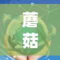 蘑菇 VPN 是一款功能强大的VPN服务，帮助用户访问真实网络，如在线游戏、流媒体、搜索等。以下是蘑菇 VPN 的使用方法和一些关键点