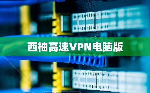 西柚高速VPN电脑版