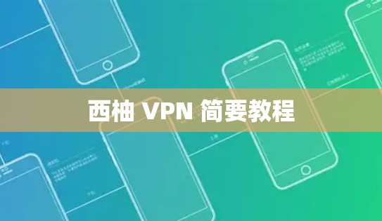 西柚 VPN 简要教程