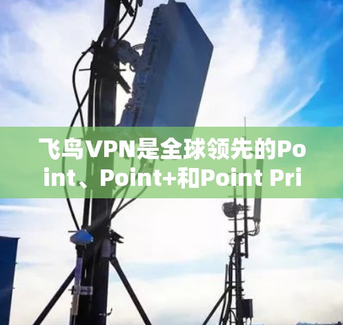 飞鸟VPN是全球领先的Point、Point+和Point Prime VPN服务提供商，提供灵活的多设备和多国家的网络连接，适合不同用户的需求。以下是详细的详细介绍