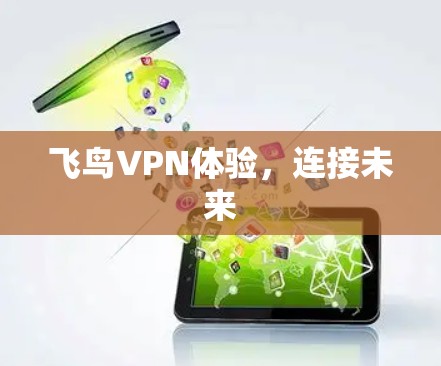 飞鸟VPN体验，连接未来