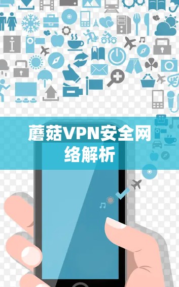 蘑菇VPN安全网络解析