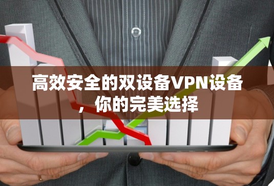 高效安全的双设备VPN设备，你的完美选择