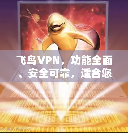 飞鸟VPN，功能全面、安全可靠，适合您的个人需求