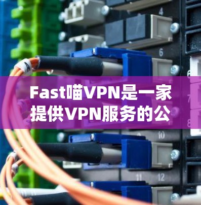 Fast喵VPN是一家提供VPN服务的公司，专注于提供加密、多设备连接和安全的体验。以下是对Fast喵VPN的分析